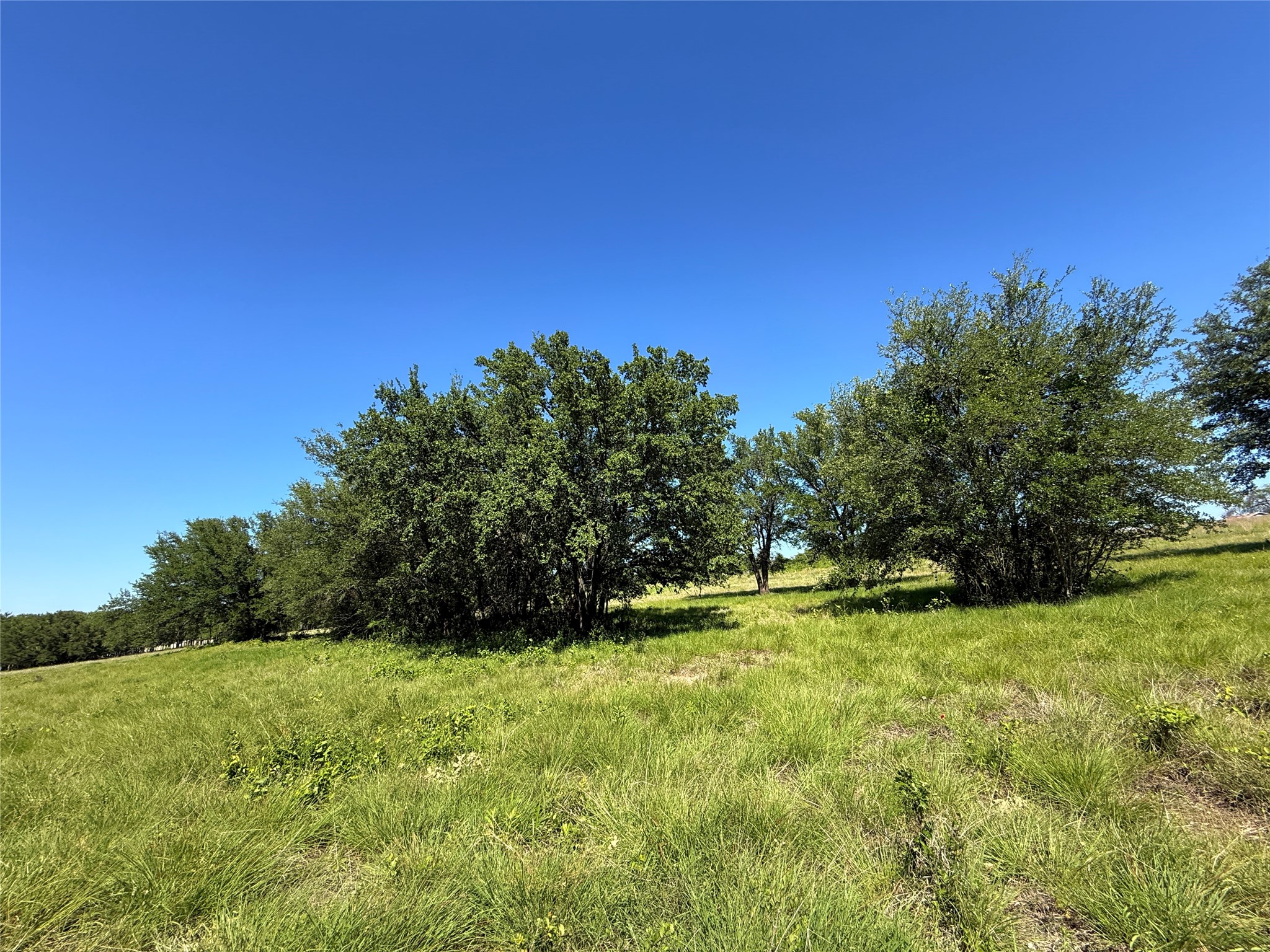 913 N Rice Hamilton TX 76531