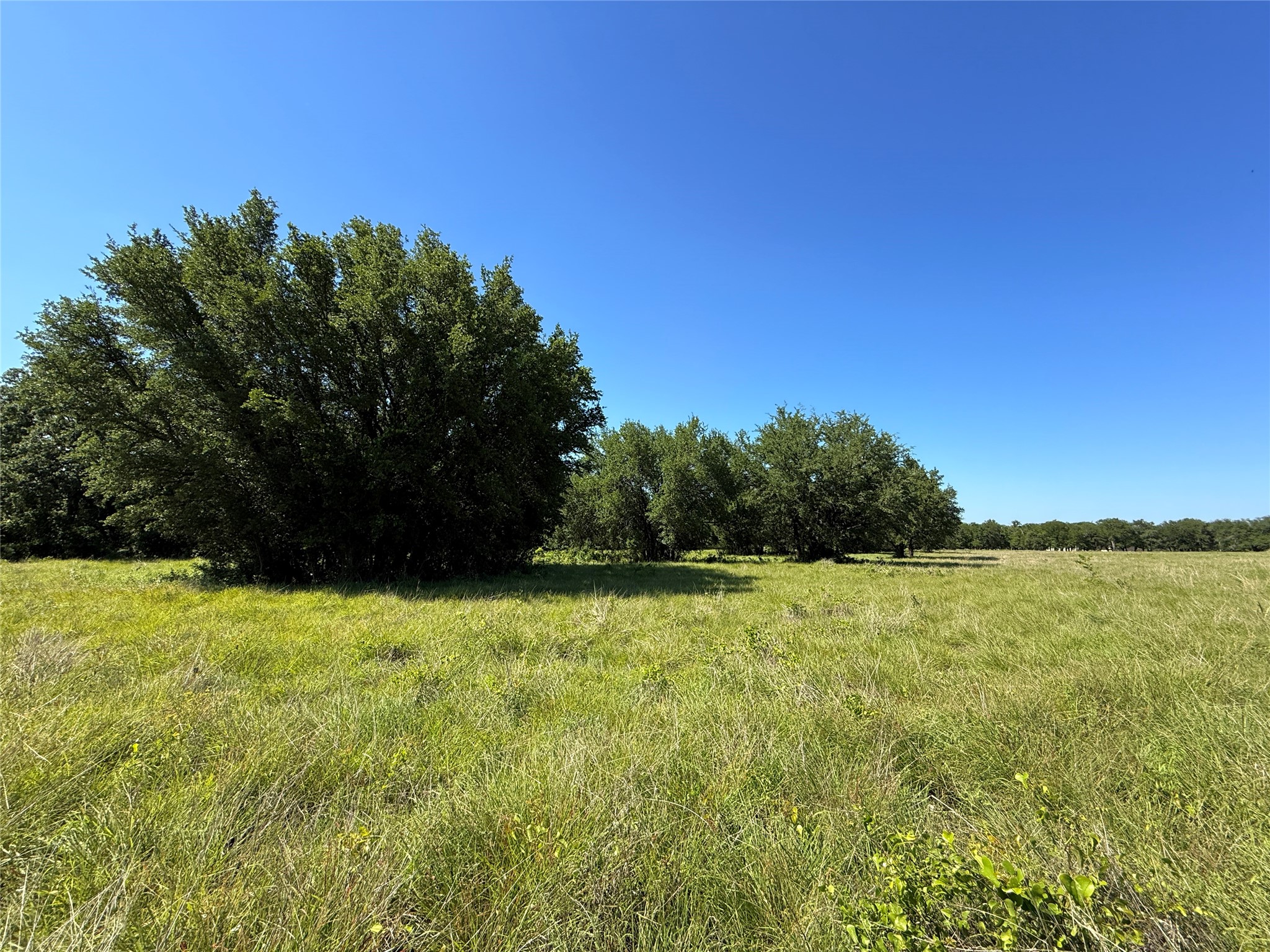 913 N Rice Hamilton TX 76531