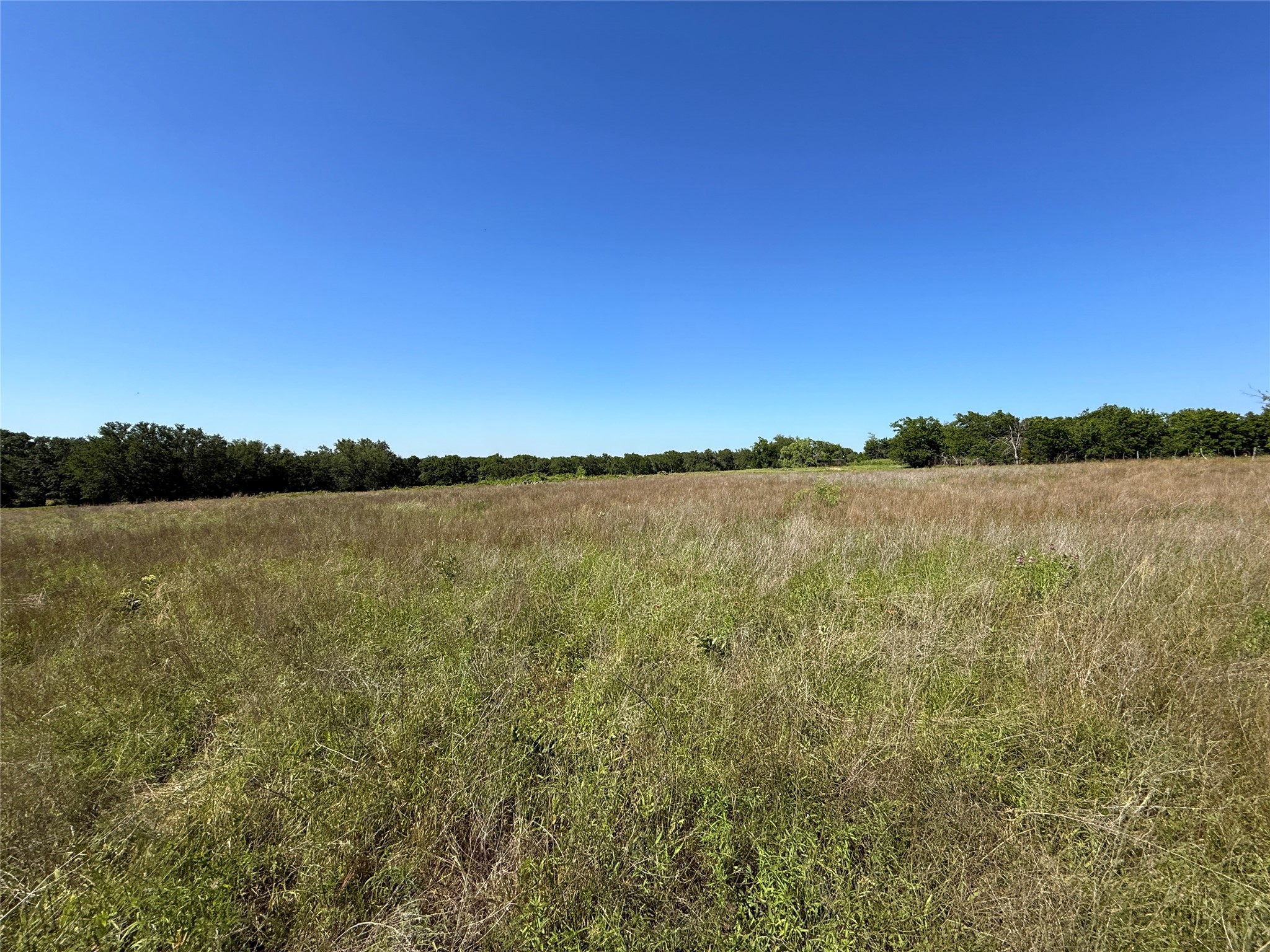 913 N Rice Hamilton TX 76531