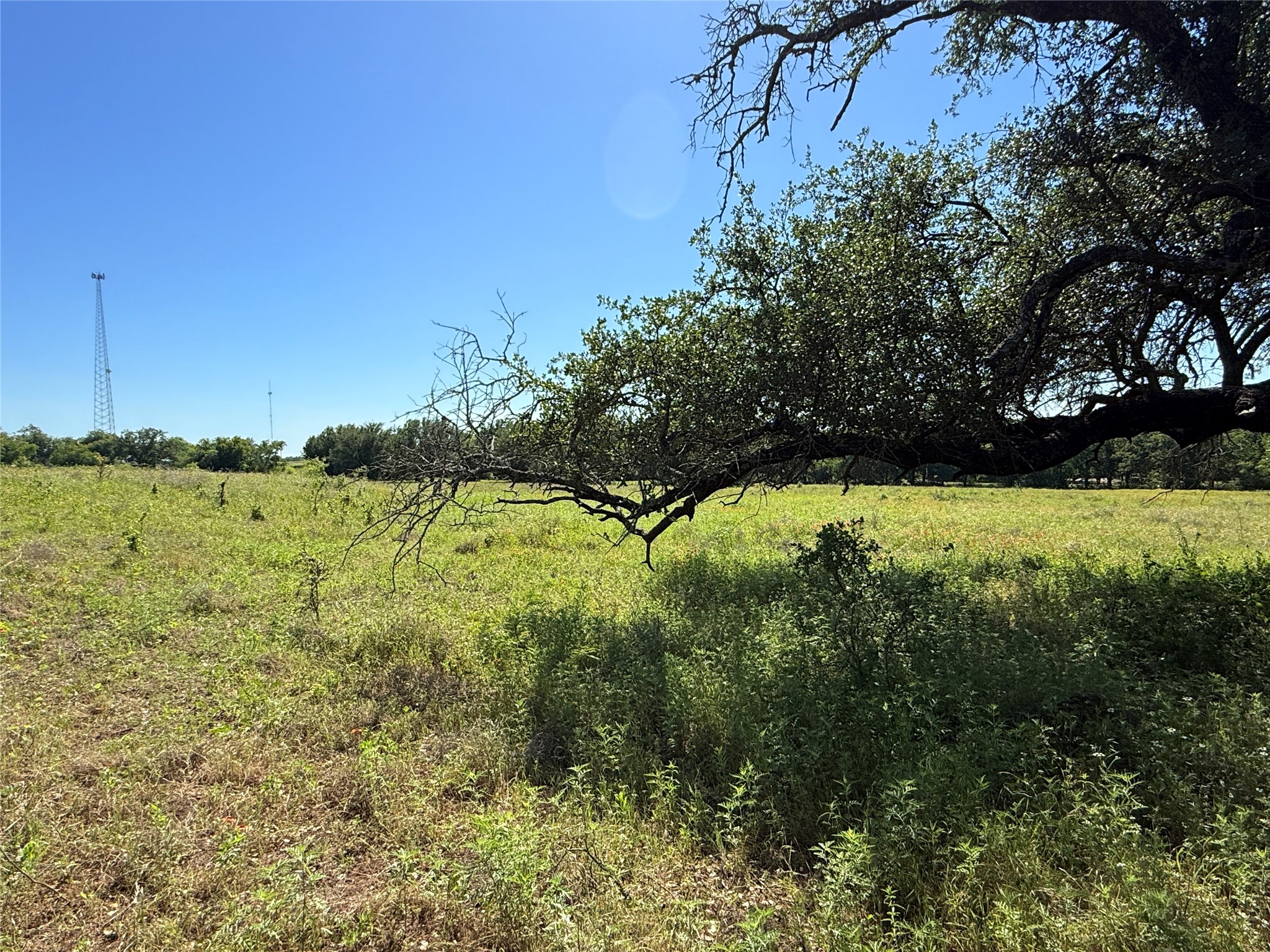 913 N Rice Hamilton TX 76531