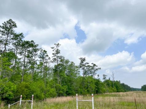 0000 Cravens Camp Road Silsbee TX 77656