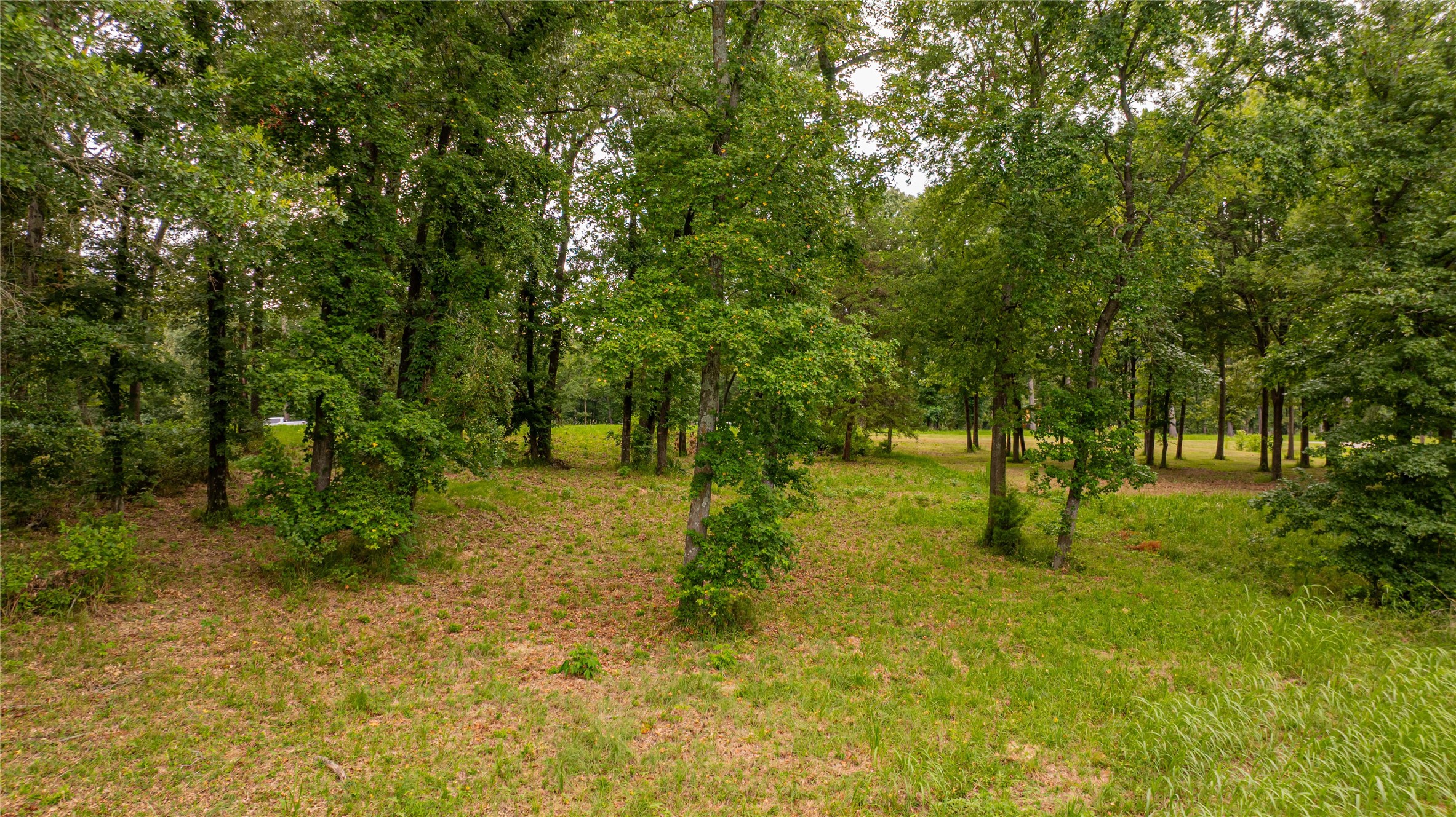 0000 Waters Edge Lane Scroggins TX 75480