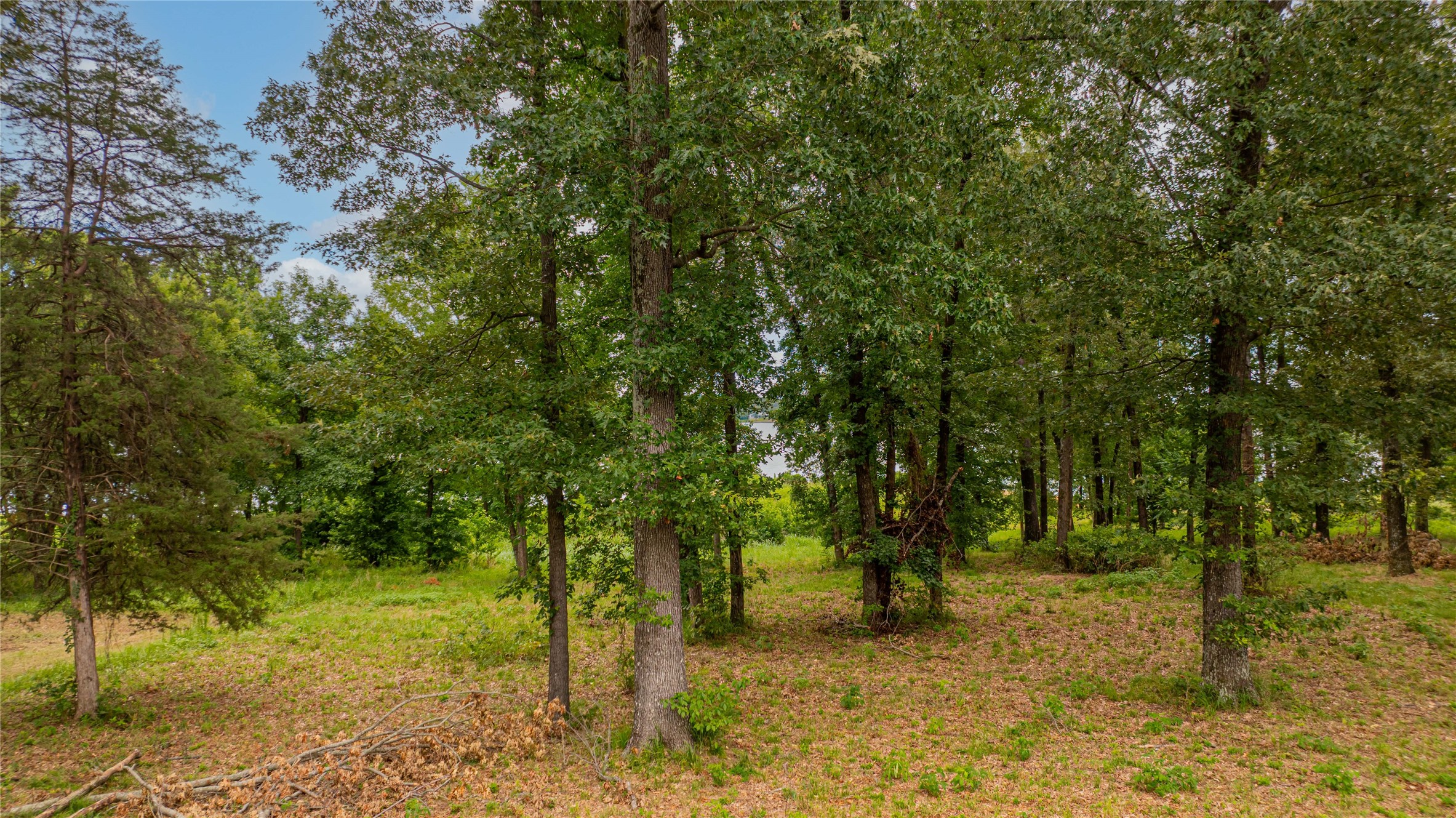 0000 Waters Edge Lane Scroggins TX 75480