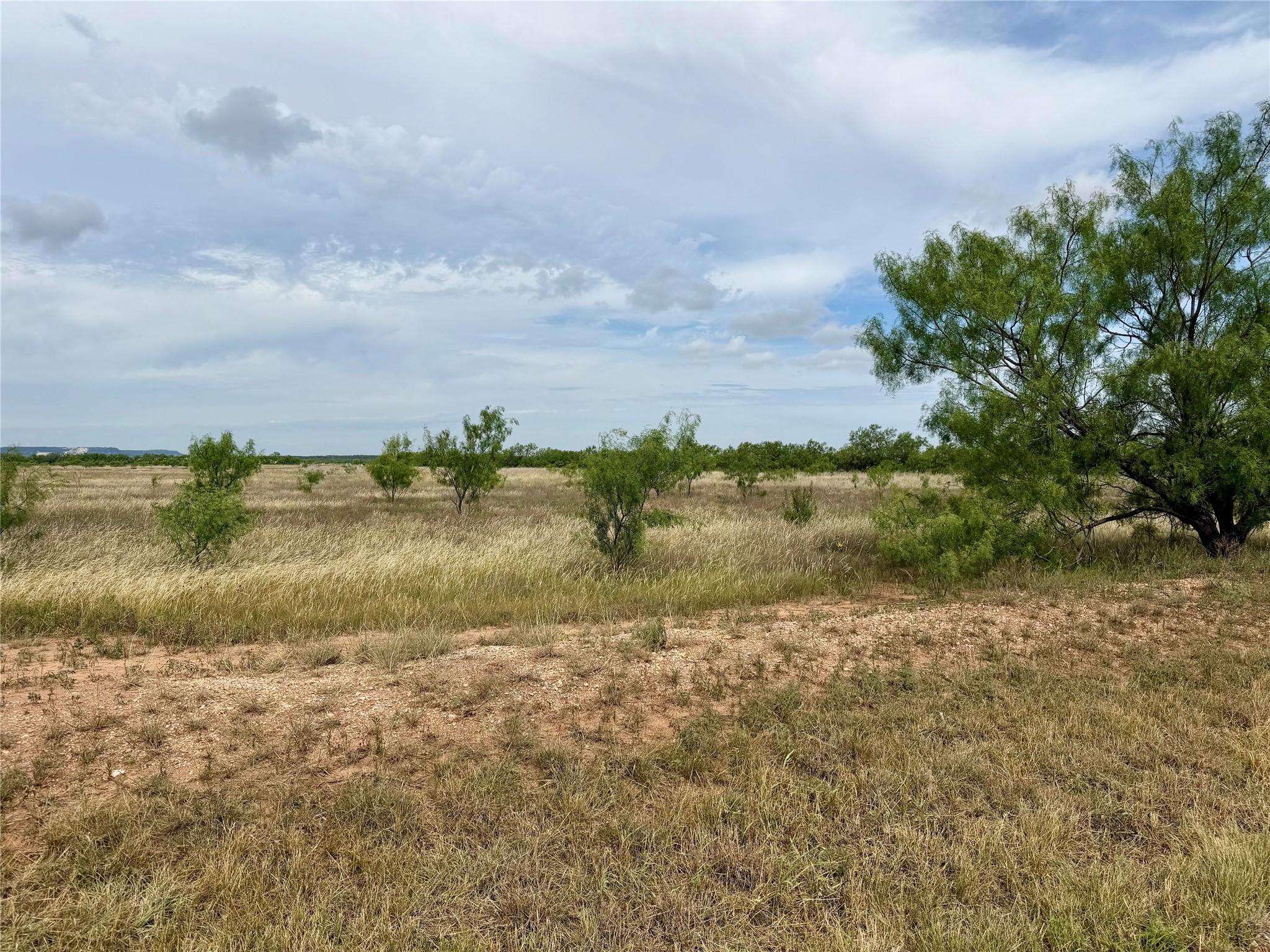 Tbd Cr 319 Abilene TX 79606