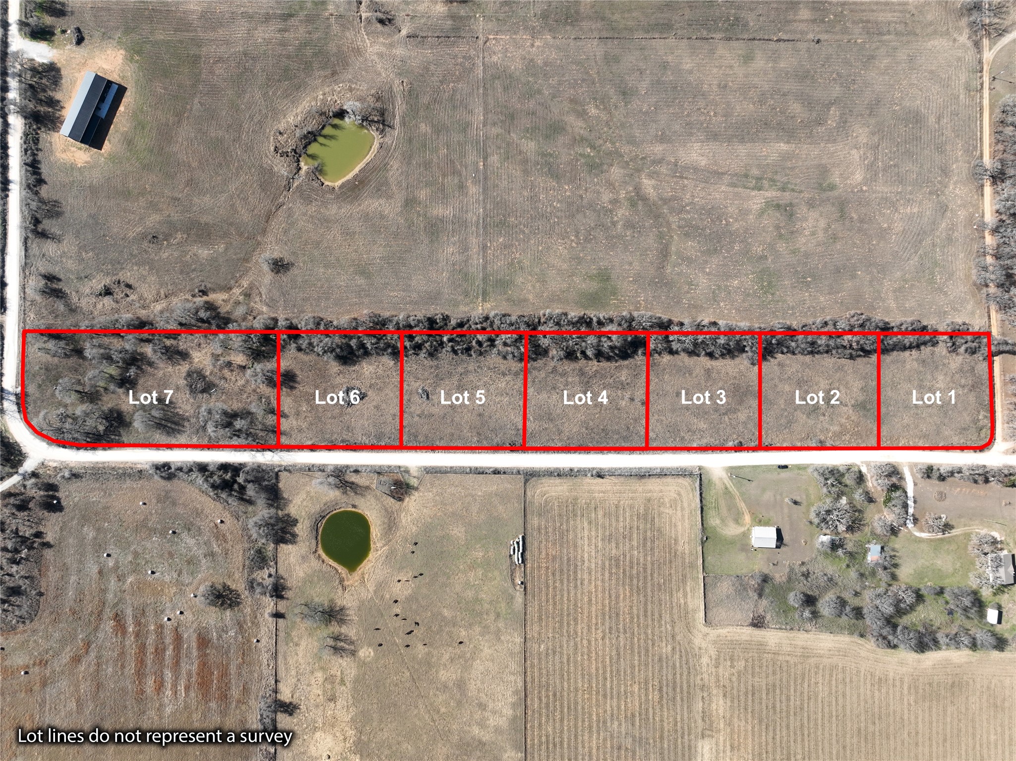Lot 4 County Road 1306 Whitney TX 76692