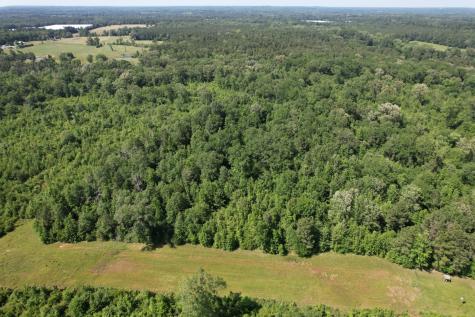 Tbd-e County Road 4021 Timpson TX 75975