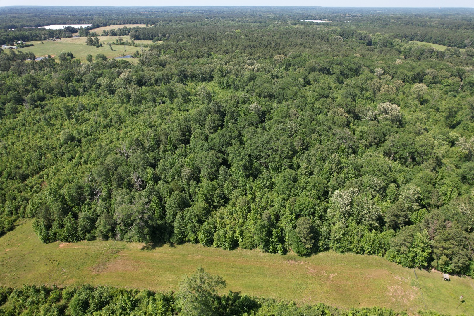 Tbd-e County Road 4021 Timpson TX 75975