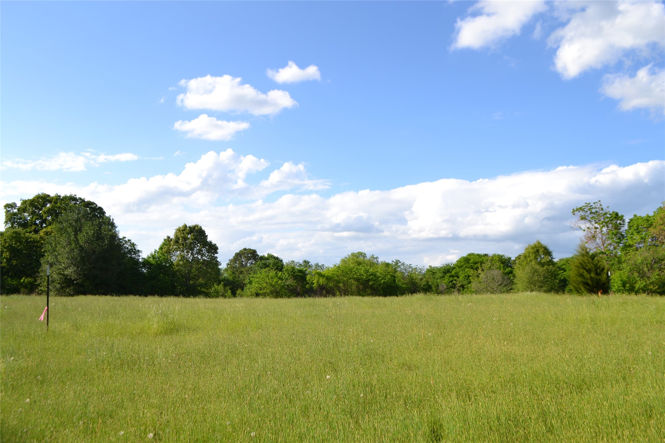 Tbd County Road 1300 Yantis TX 75497