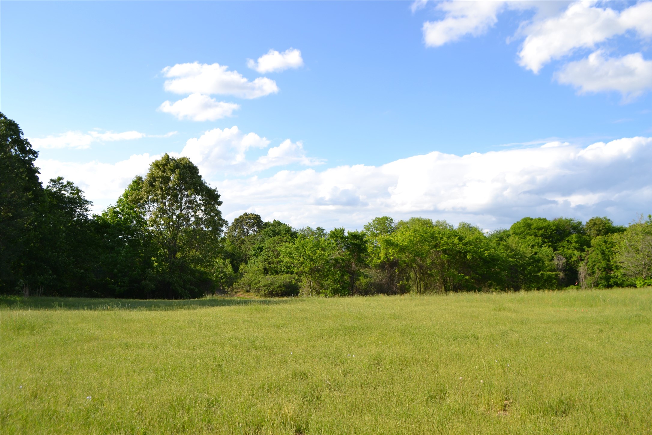 Tbd County Road 1300 Yantis TX 75497