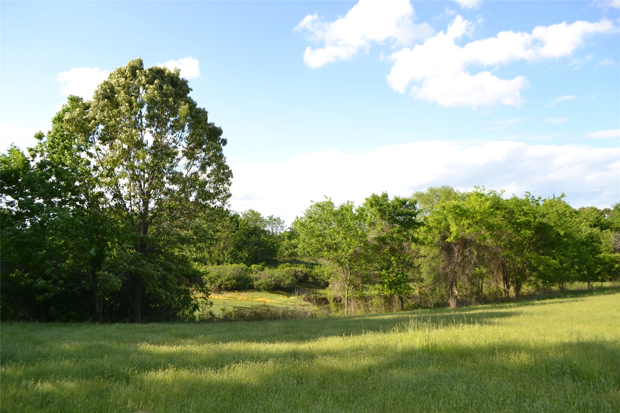 Tbd County Road 1300 Yantis TX 75497