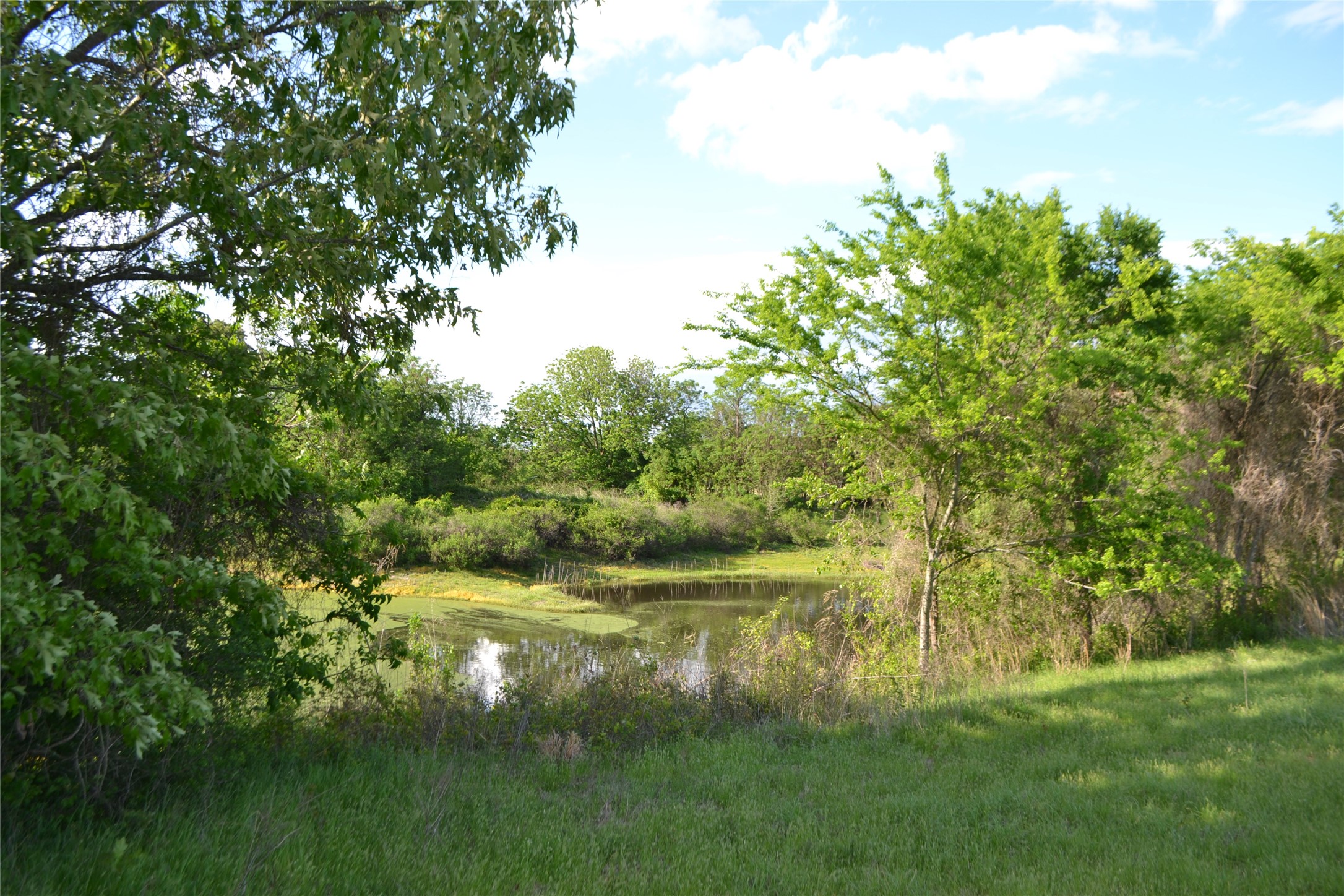 Tbd County Road 1300 Yantis TX 75497