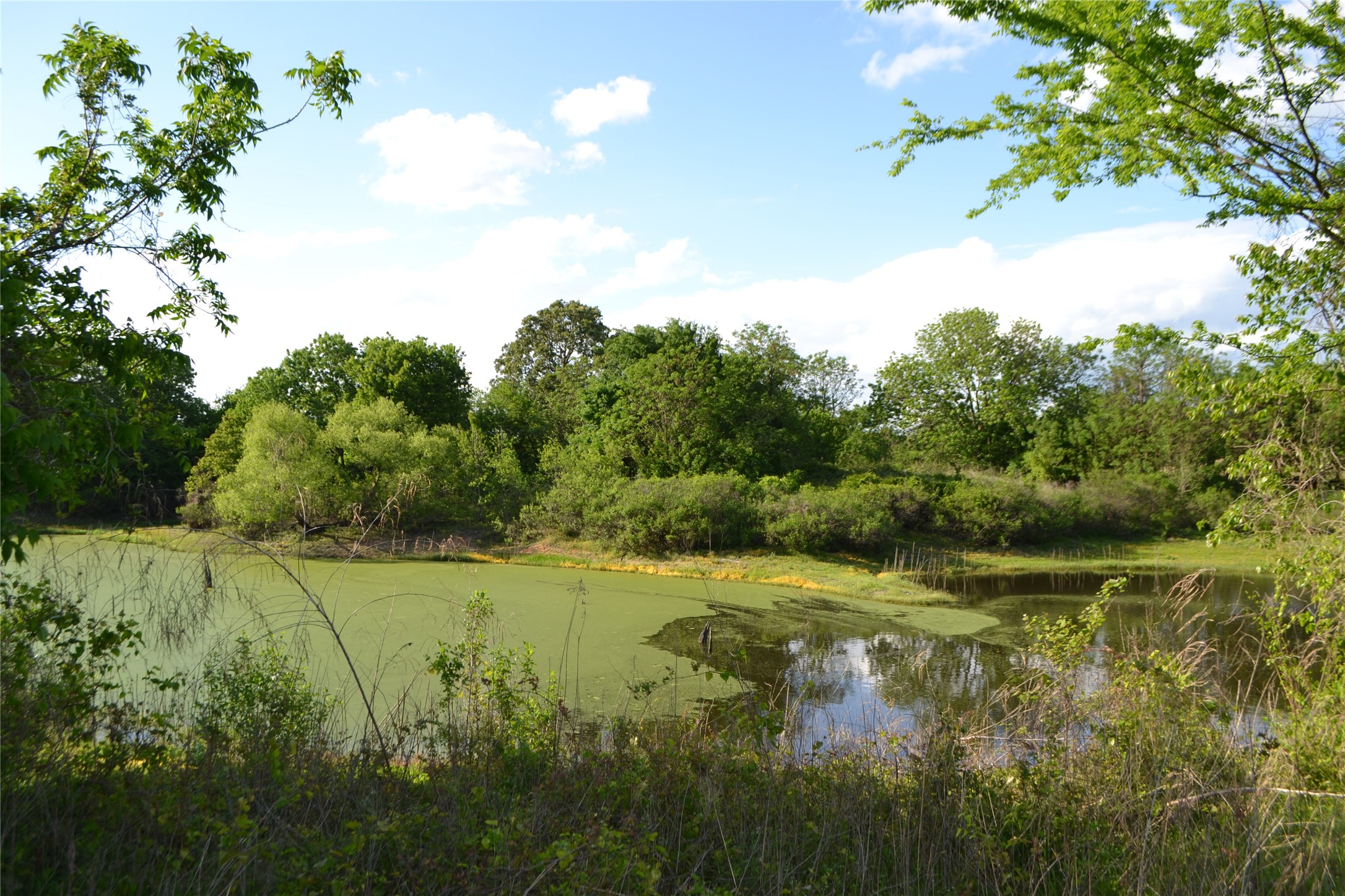 Tbd County Road 1300 Yantis TX 75497
