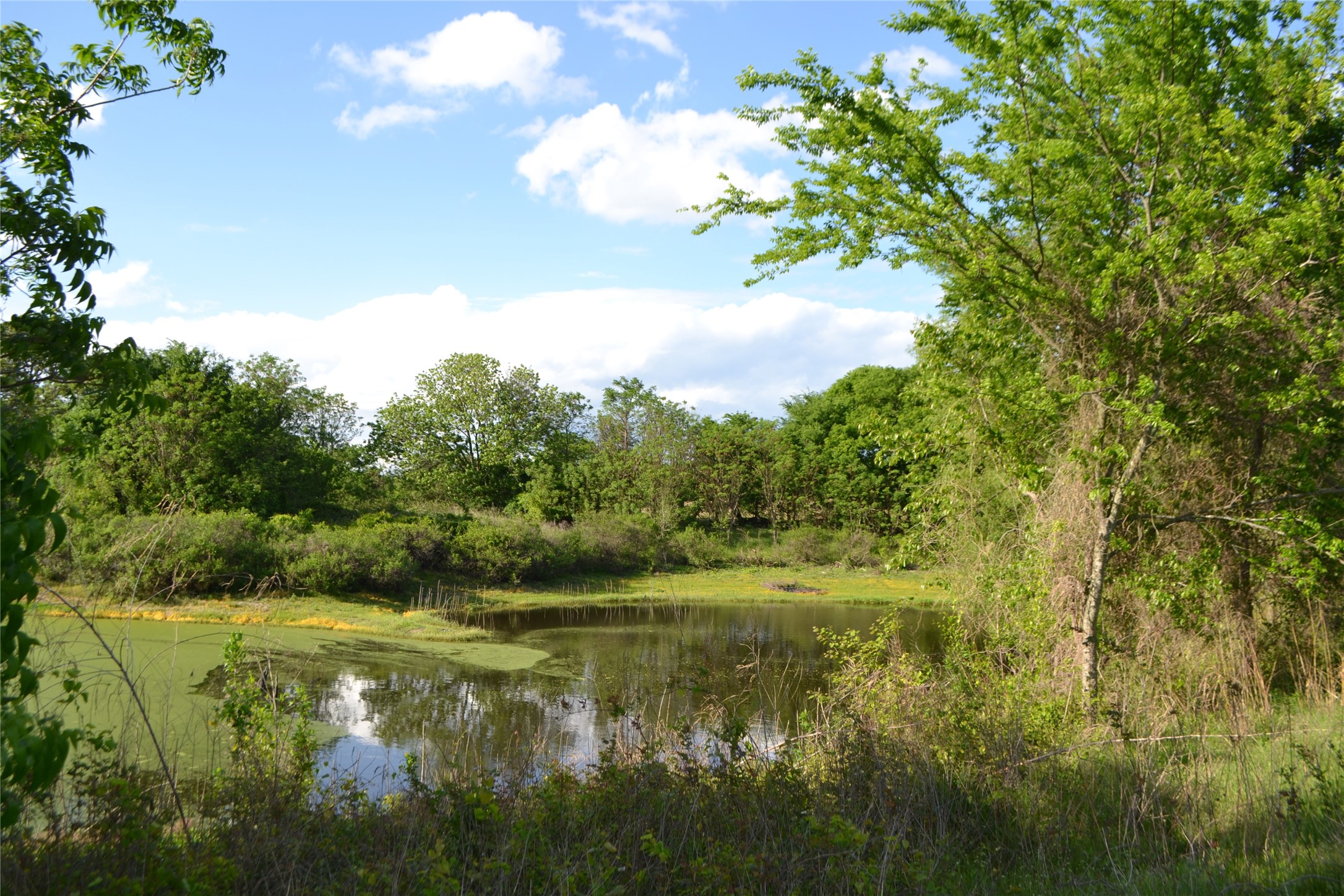 Tbd County Road 1300 Yantis TX 75497