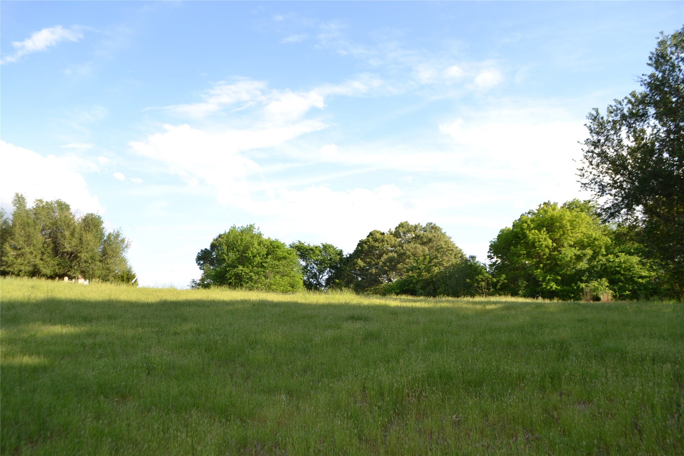 Tbd County Road 1300 Yantis TX 75497