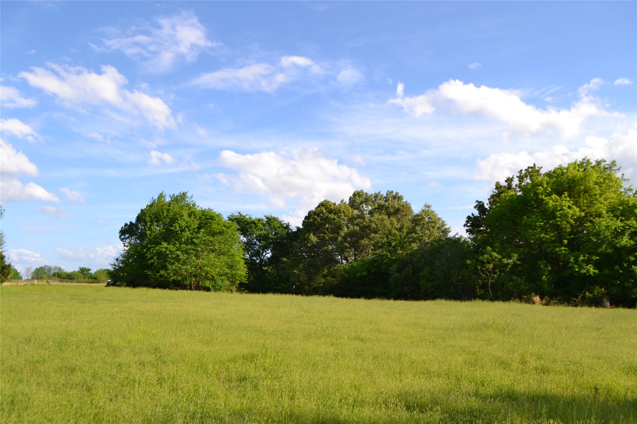 Tbd County Road 1300 Yantis TX 75497