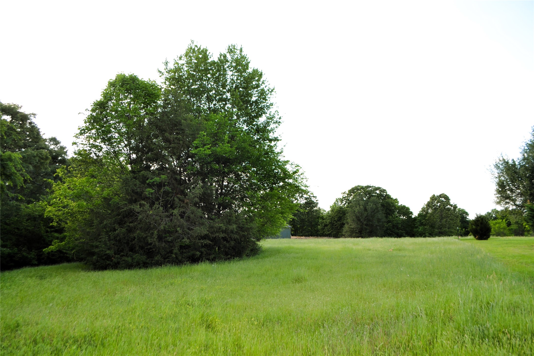 Tbd County Road 1300 Yantis TX 75497