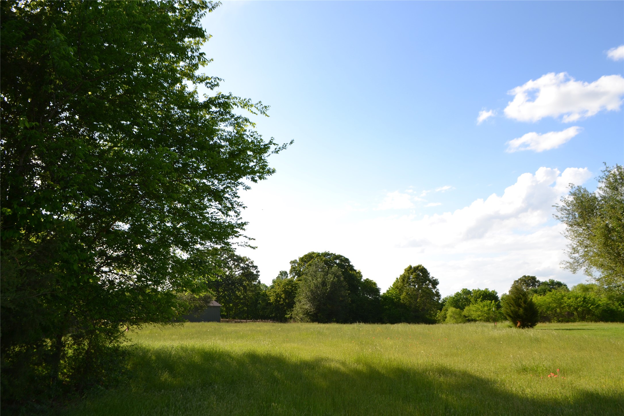Tbd County Road 1300 Yantis TX 75497