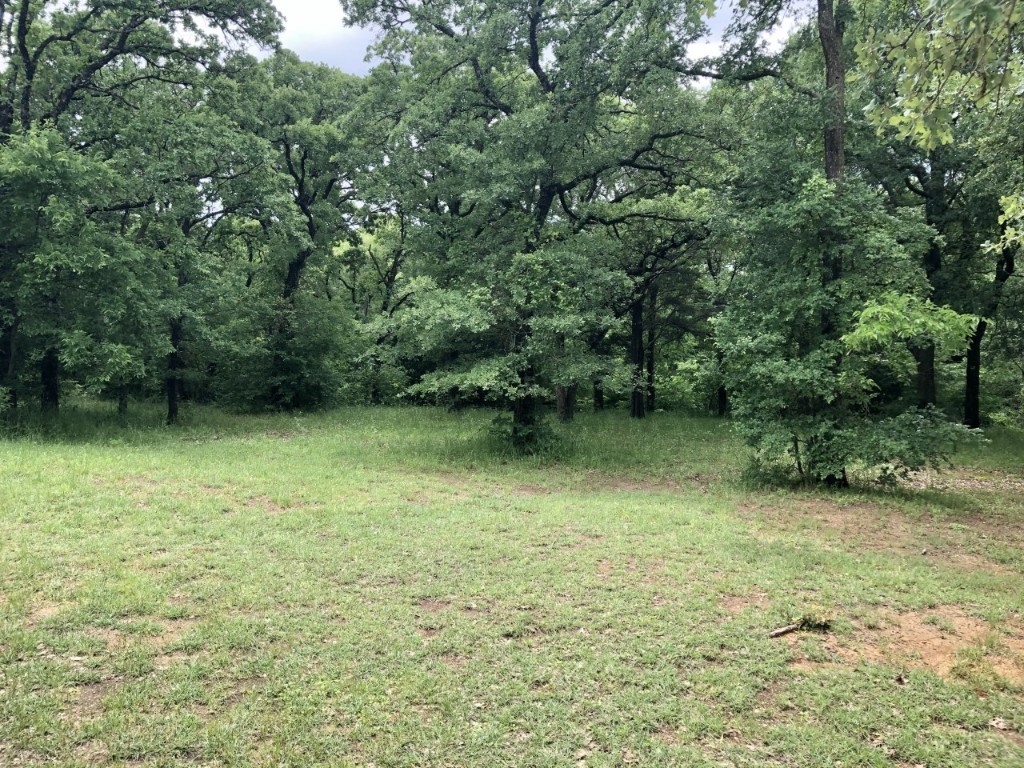 124 Willow Creek Circle Mansfield TX 76063