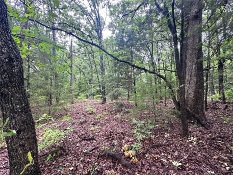 Lot 105-r Waters Edge Drive Corsicana TX 75109