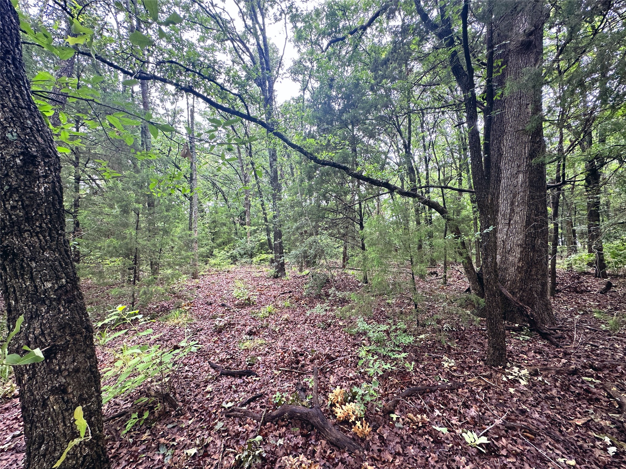 Lot 105-r Waters Edge Drive Corsicana TX 75109