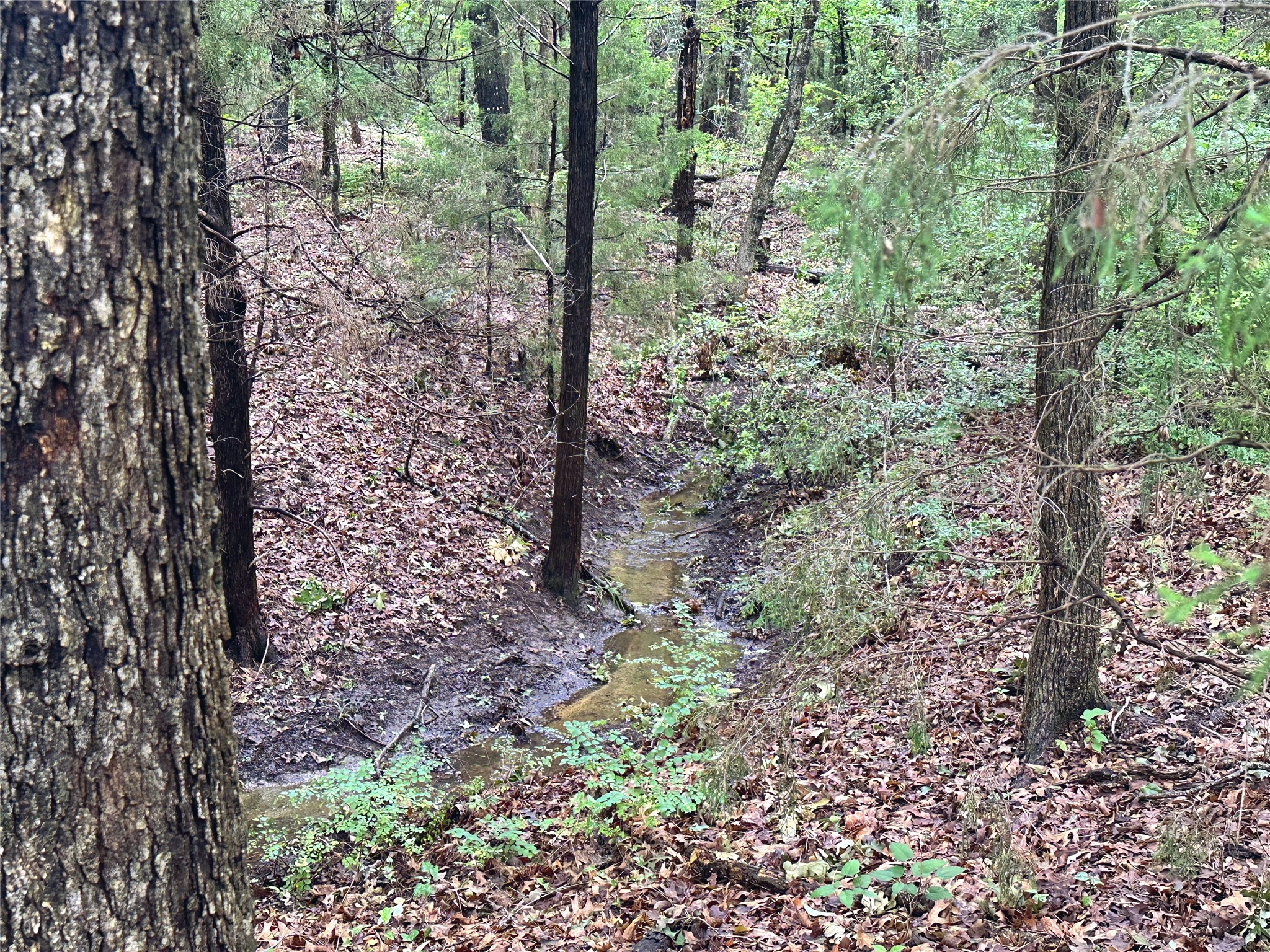 Lot 105-r Waters Edge Drive Corsicana TX 75109