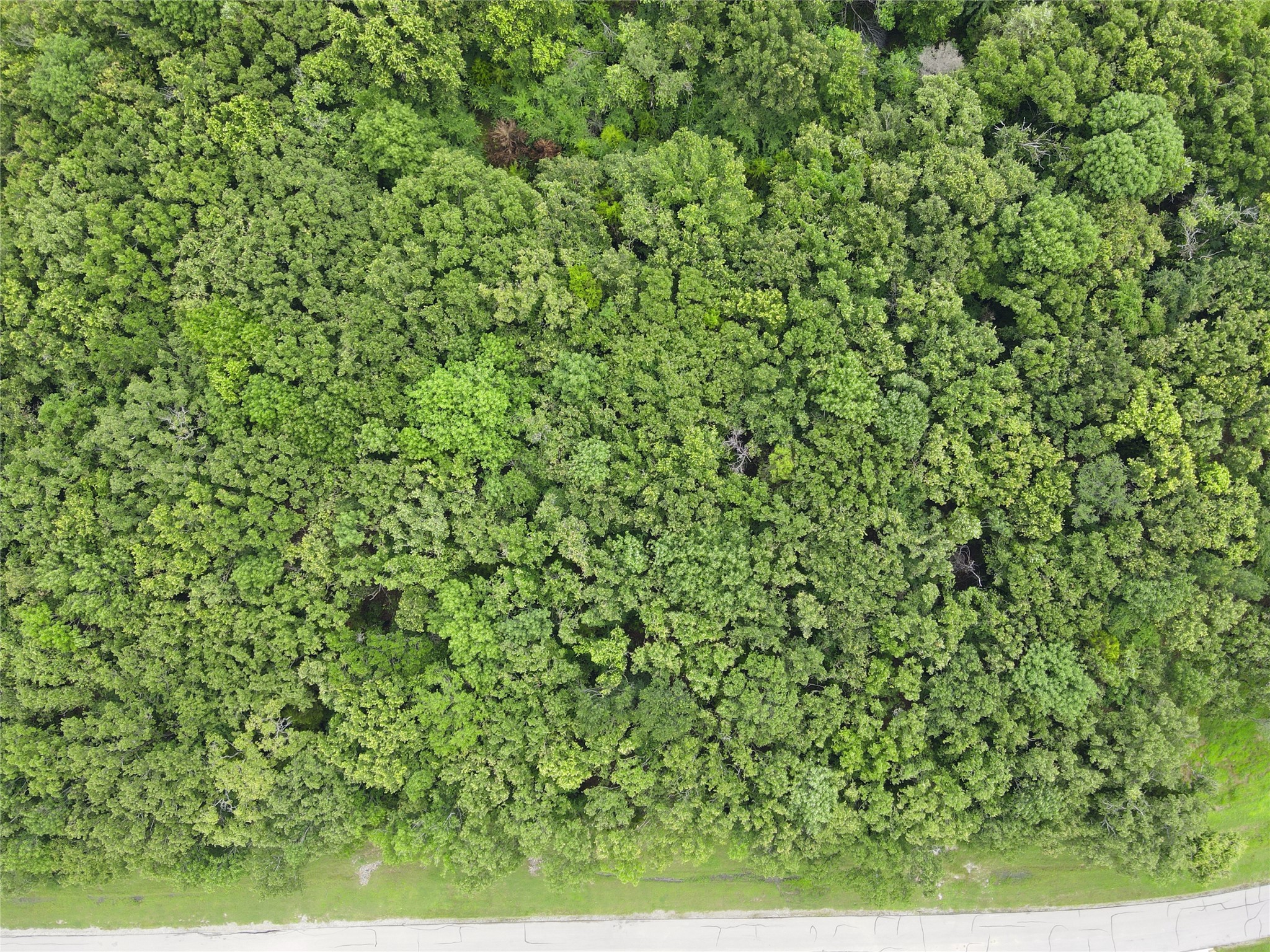 Lot 105-r Waters Edge Drive Corsicana TX 75109