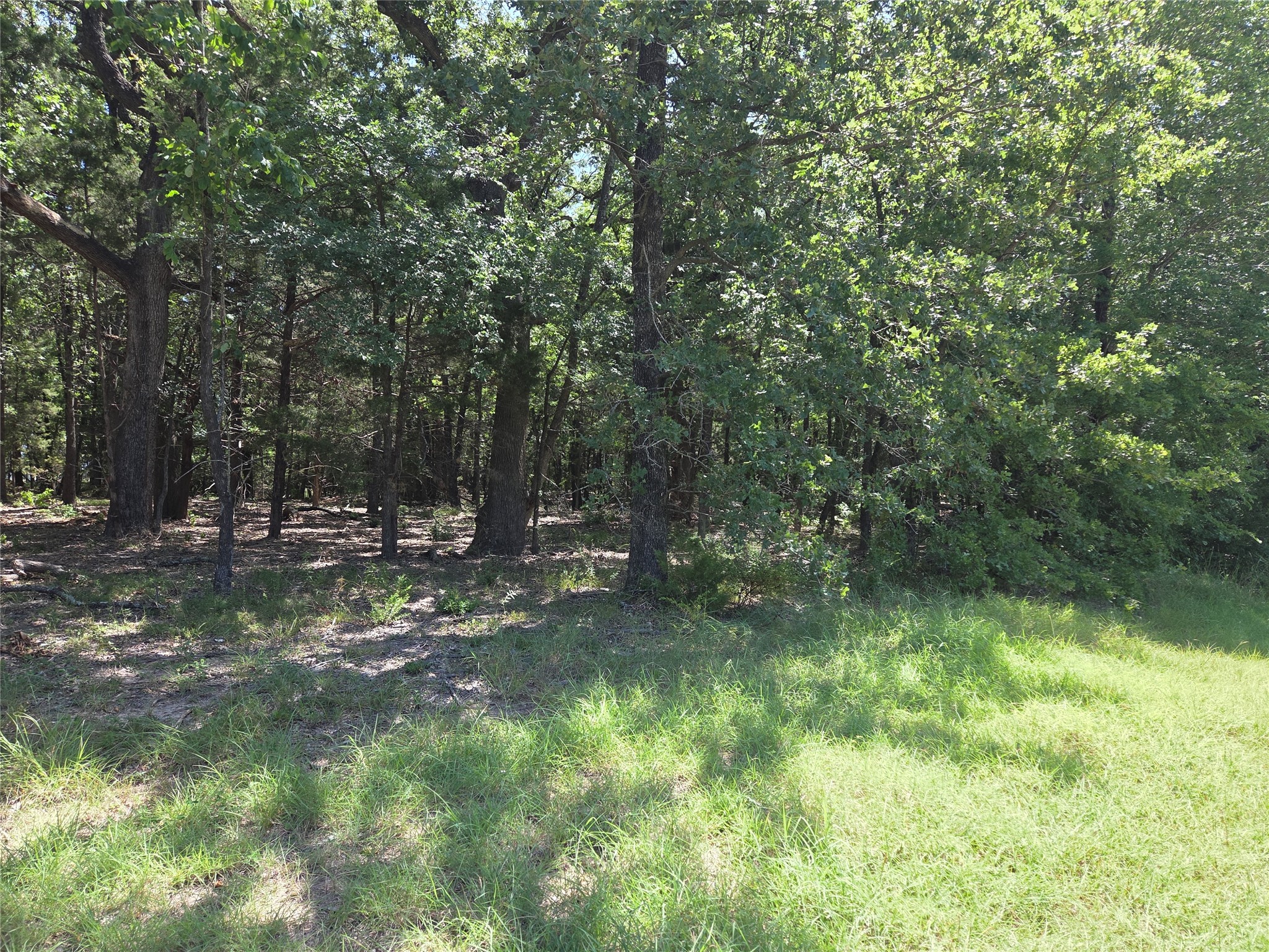 Lot 105-r Waters Edge Drive Corsicana TX 75109