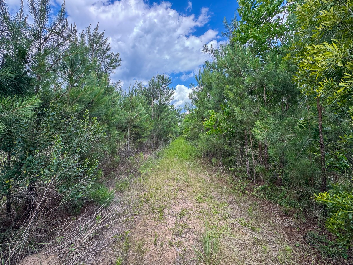 0 Highway 27 Lake Charles LA 70633