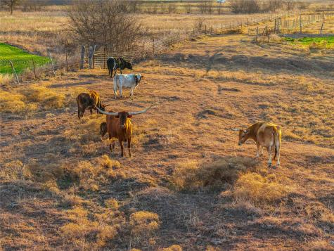 Unk Cathy Creek Road Holland TX 76534