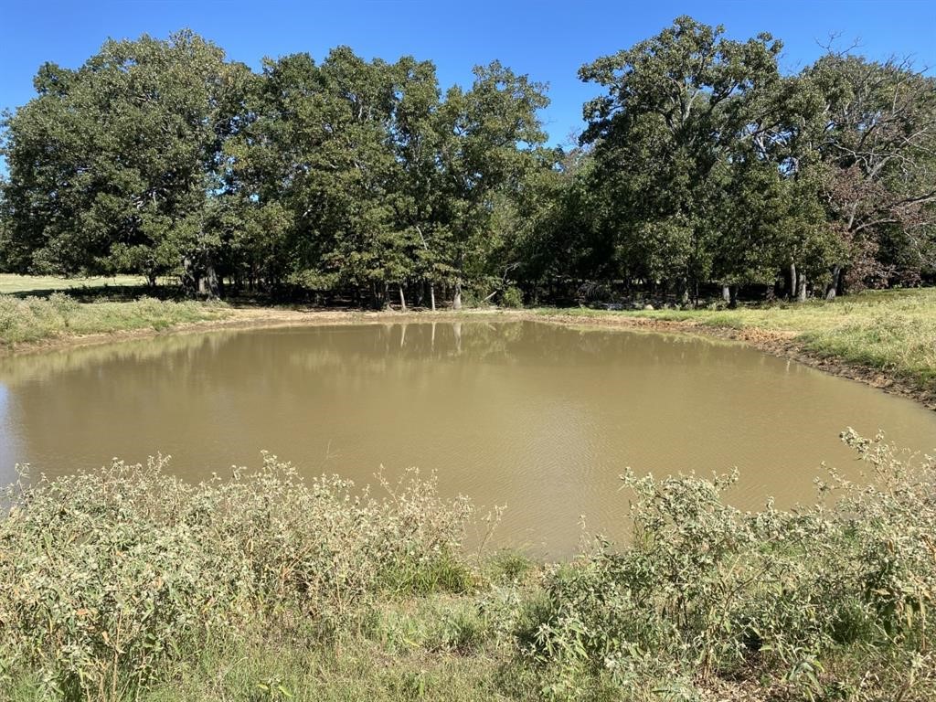 Tbd E Highway 67 East Mount Vernon TX 75457