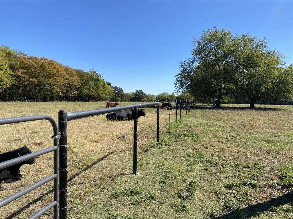 Tbd E Highway 67 East Mount Vernon TX 75457