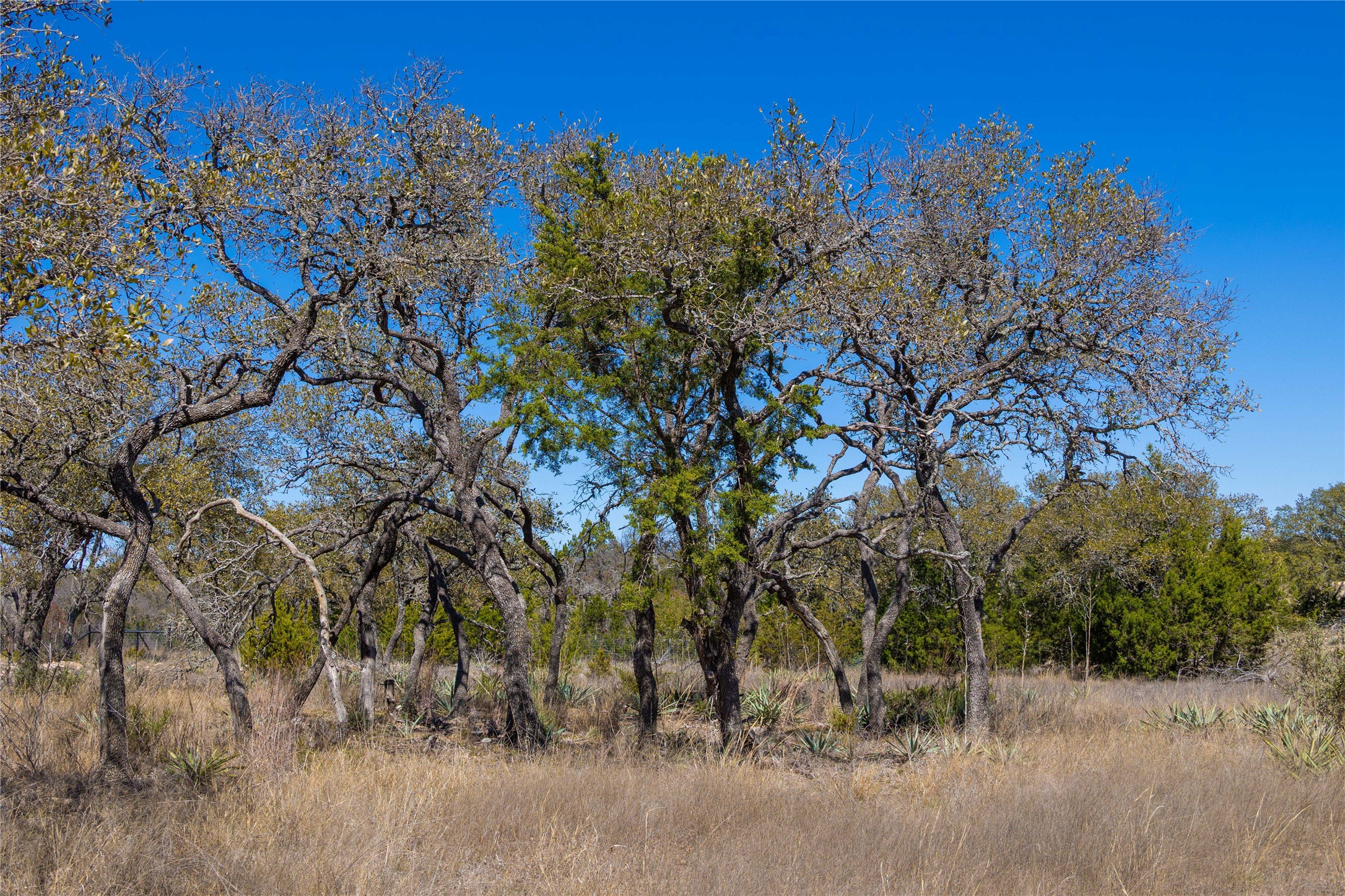 443 S Fm 3023 S Goldthwaite TX 76844