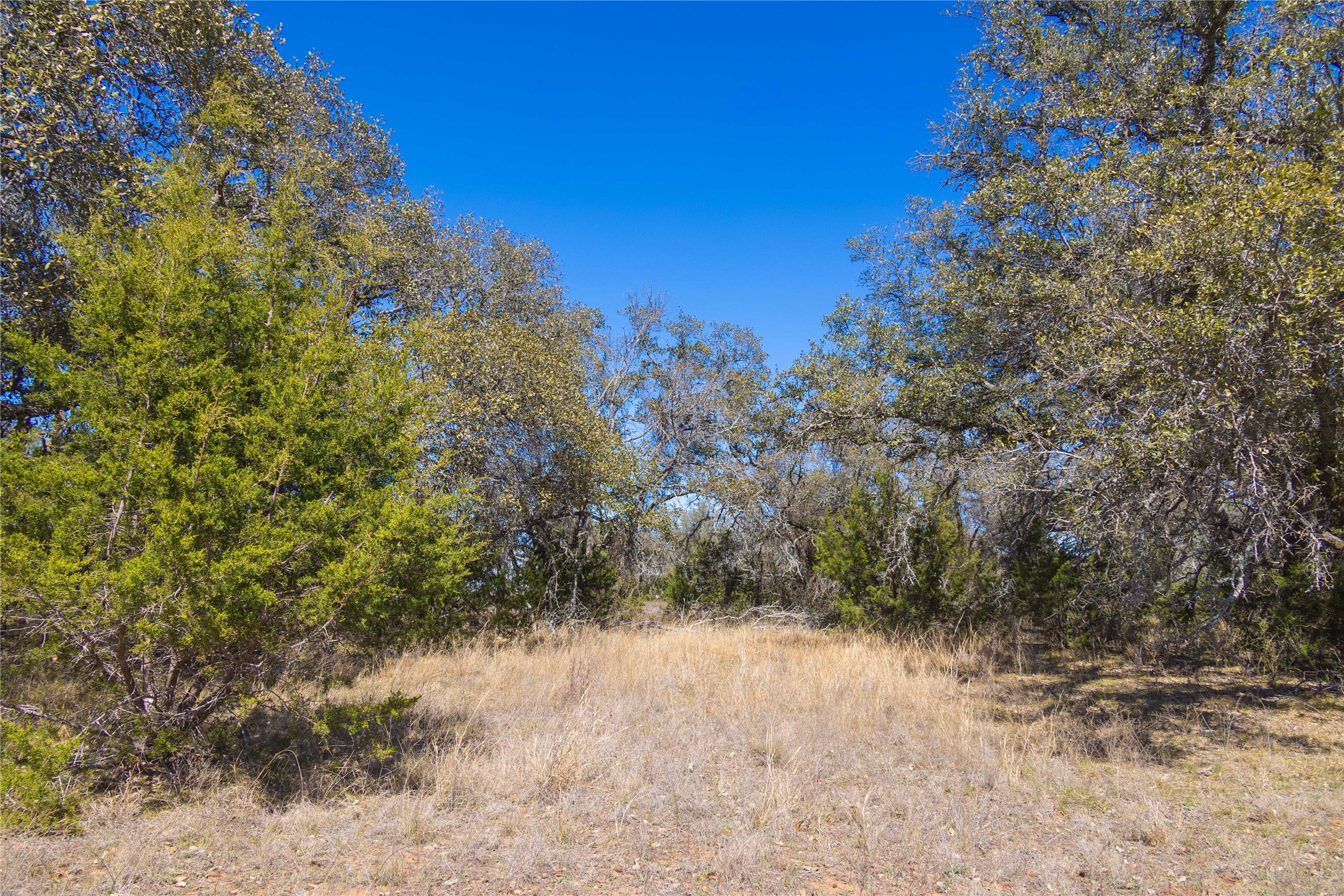 443 S Fm 3023 S Goldthwaite TX 76844