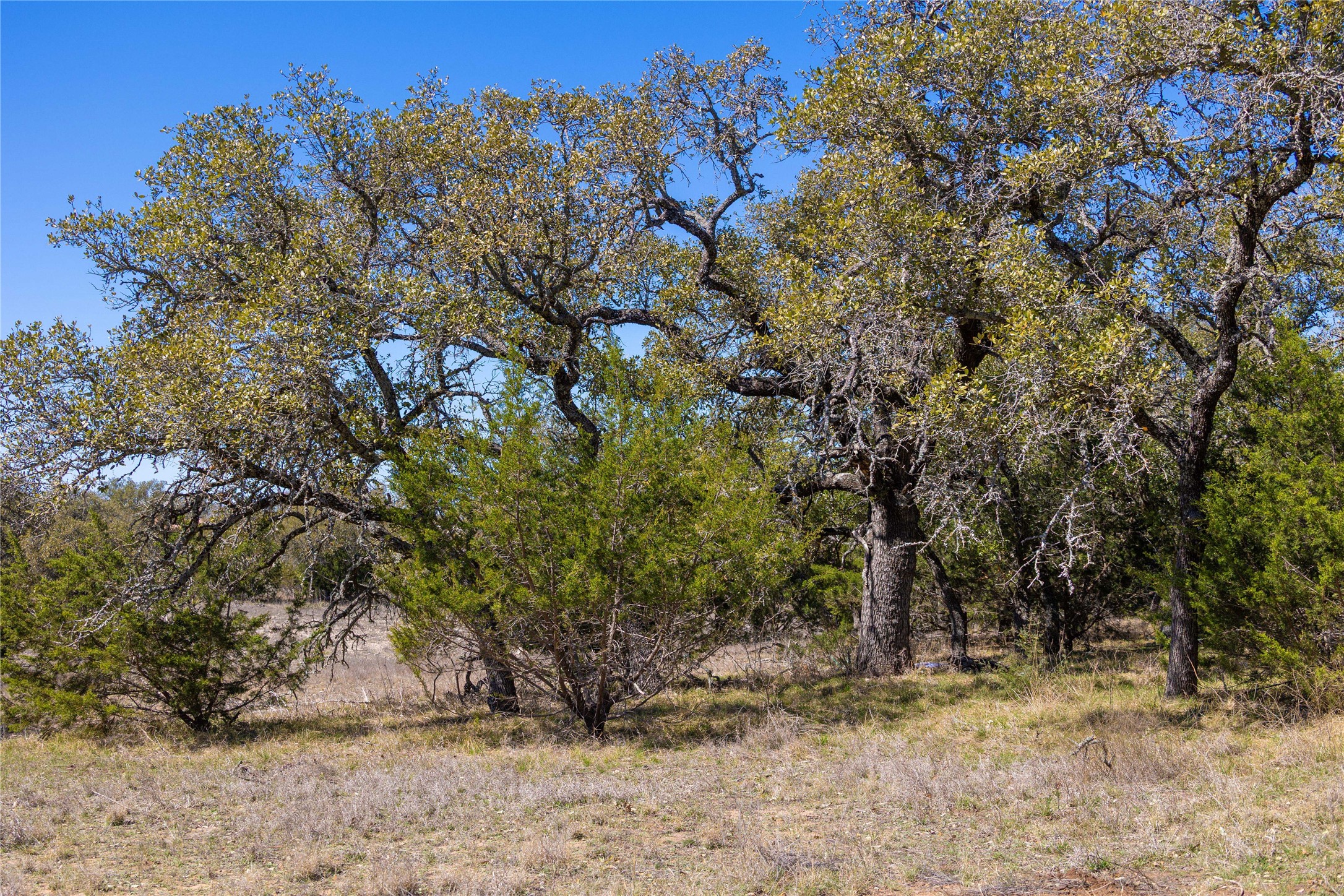 443 S Fm 3023 S Goldthwaite TX 76844