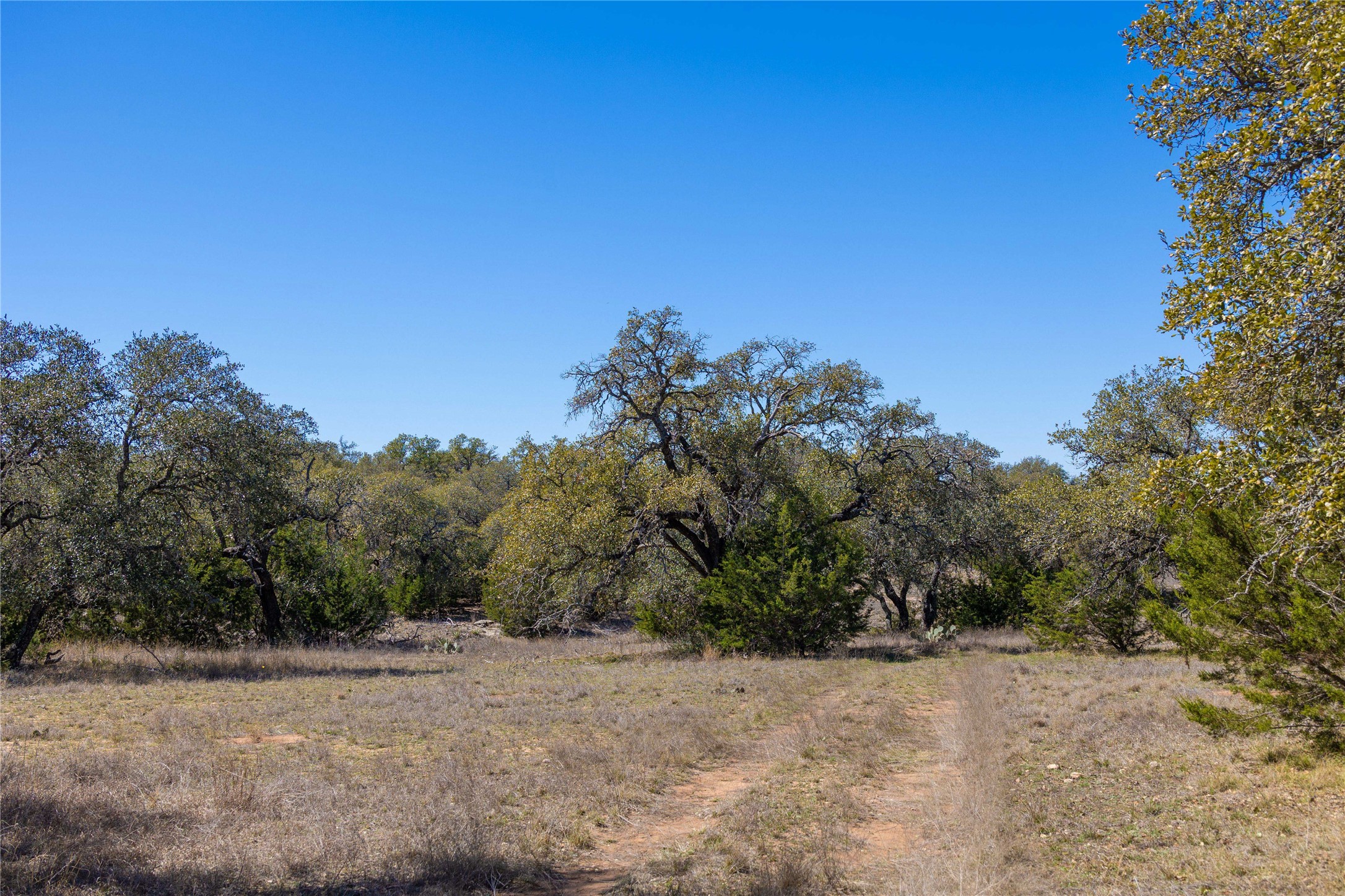 443 S Fm 3023 S Goldthwaite TX 76844