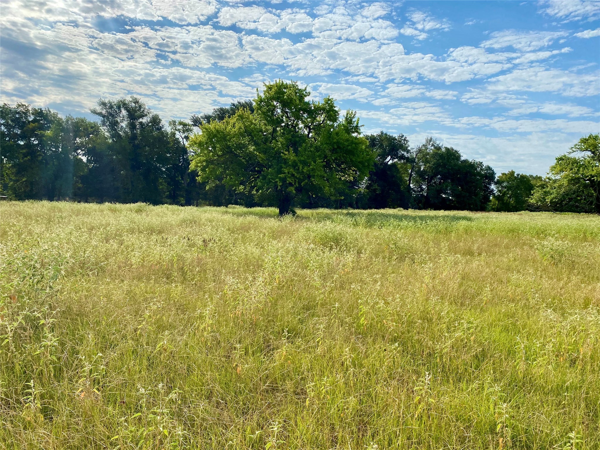 Tbd Vz County Road 2506 Canton TX 75103