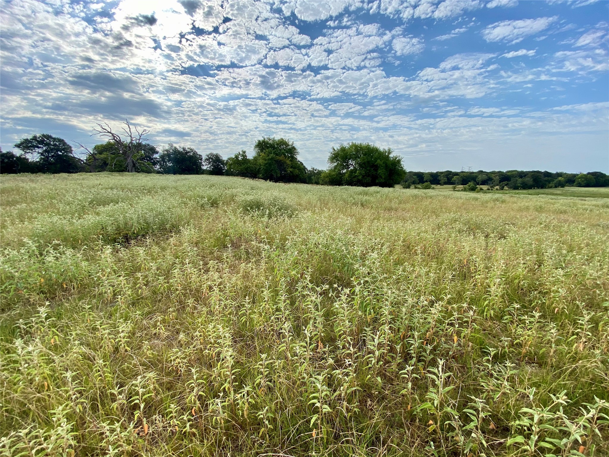 Tbd Vz County Road 2506 Canton TX 75103