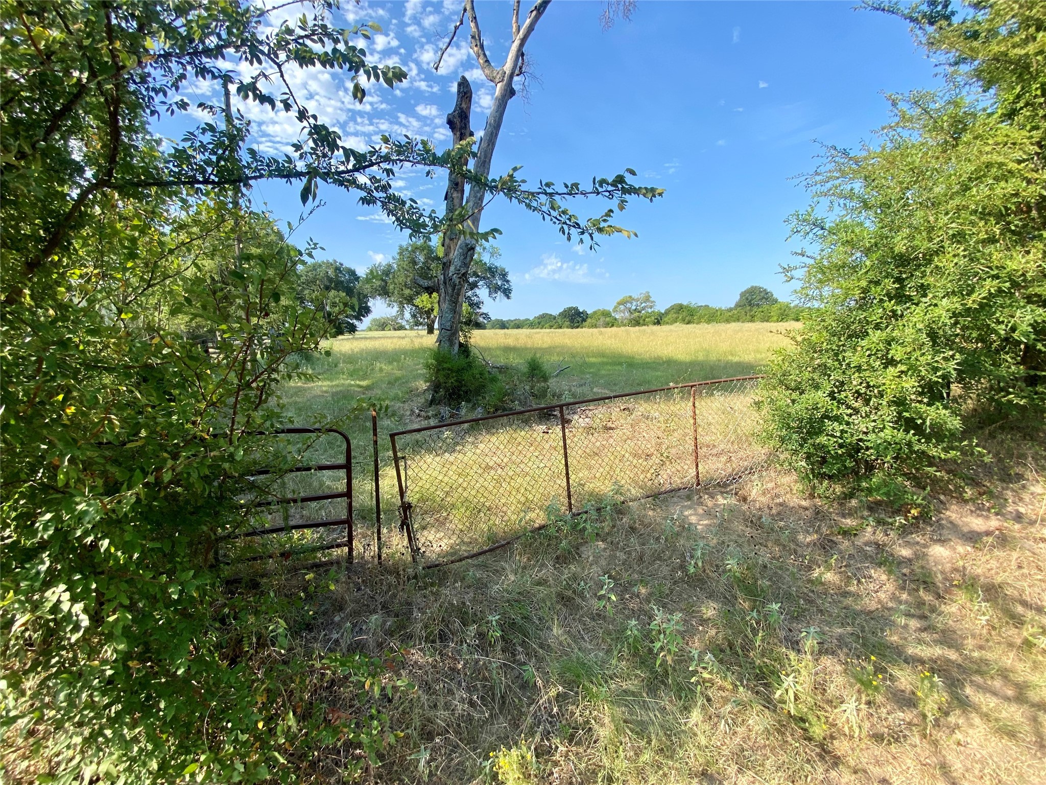 Tbd Vz County Road 2506 Canton TX 75103