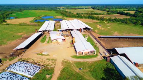248 County Road 4310 Winnsboro TX 75494
