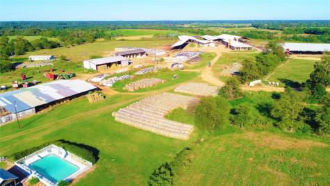 248 County Road 4310 Winnsboro TX 75494