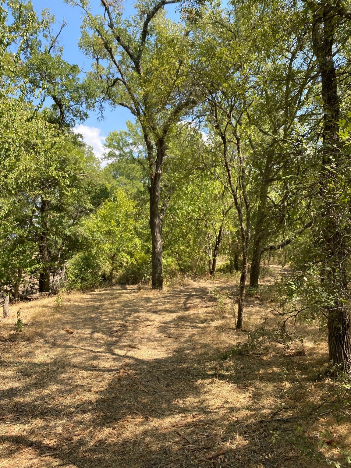Tbd W Highway 84 Prairie Hill TX 76678