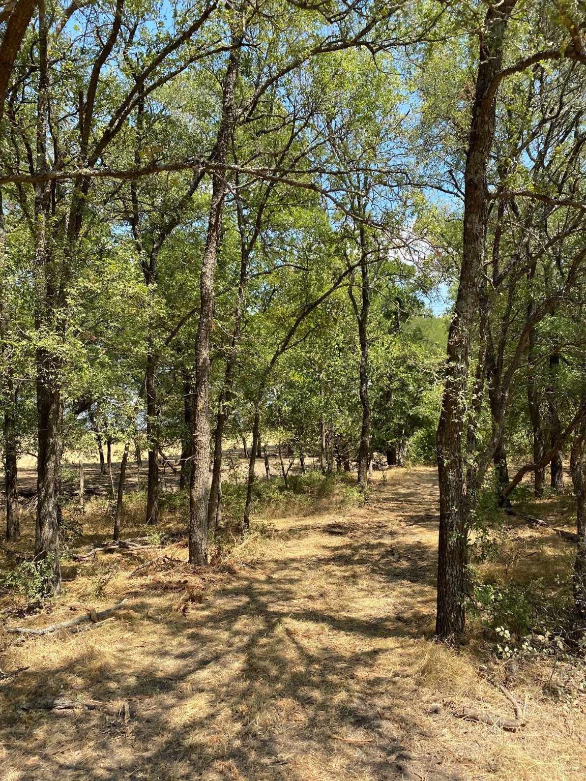 Tbd W Highway 84 Prairie Hill TX 76678