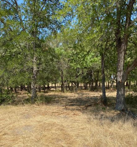 Tbd W Highway 84 Prairie Hill TX 76678
