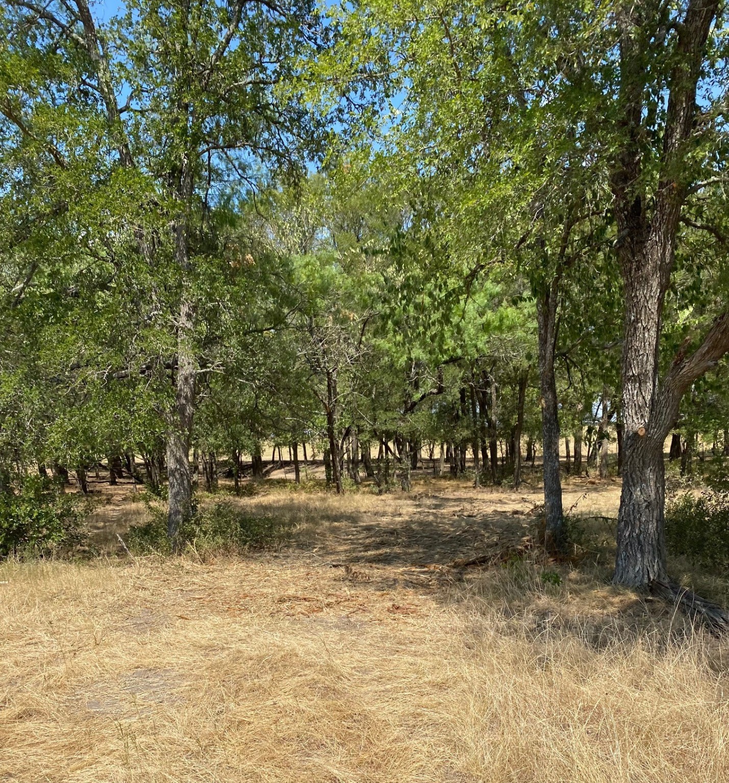 Tbd W Highway 84 Prairie Hill TX 76678