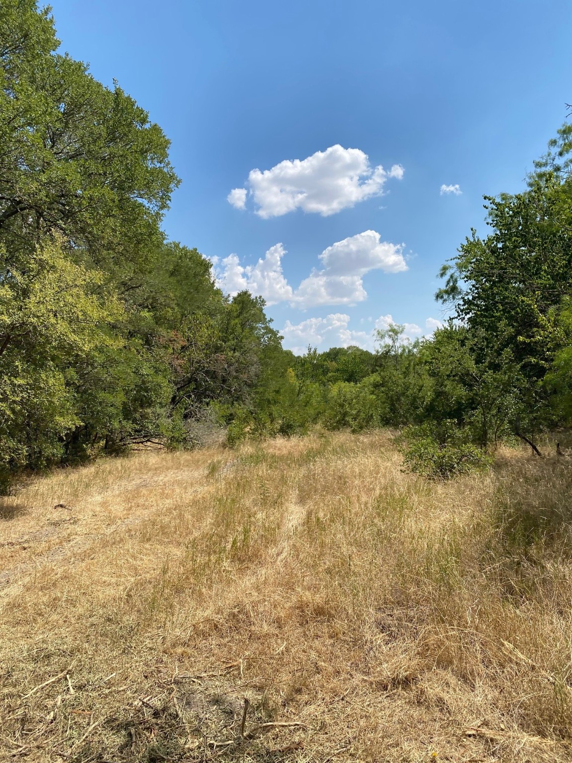 Tbd W Highway 84 Prairie Hill TX 76678