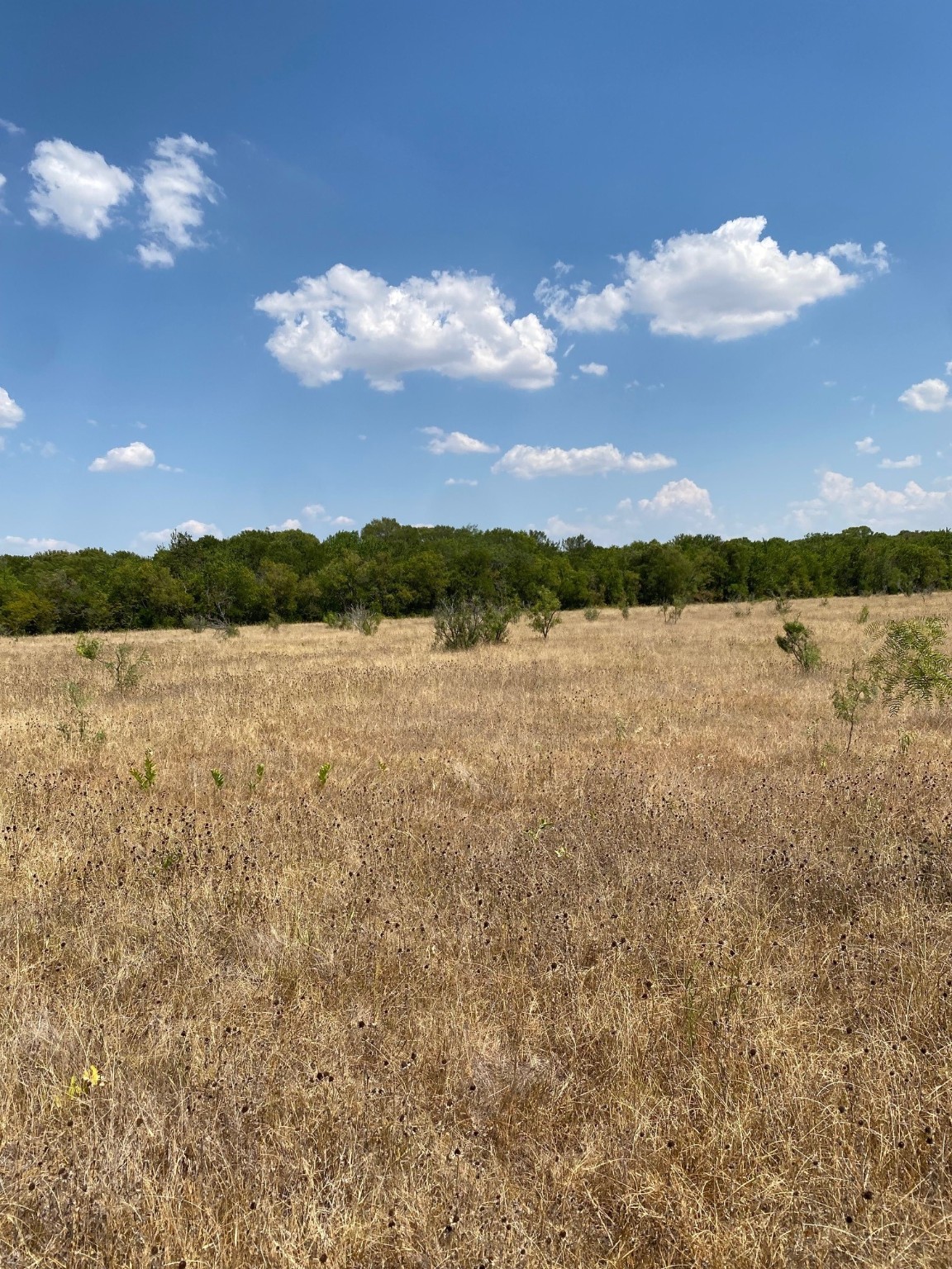 Tbd W Highway 84 Prairie Hill TX 76678