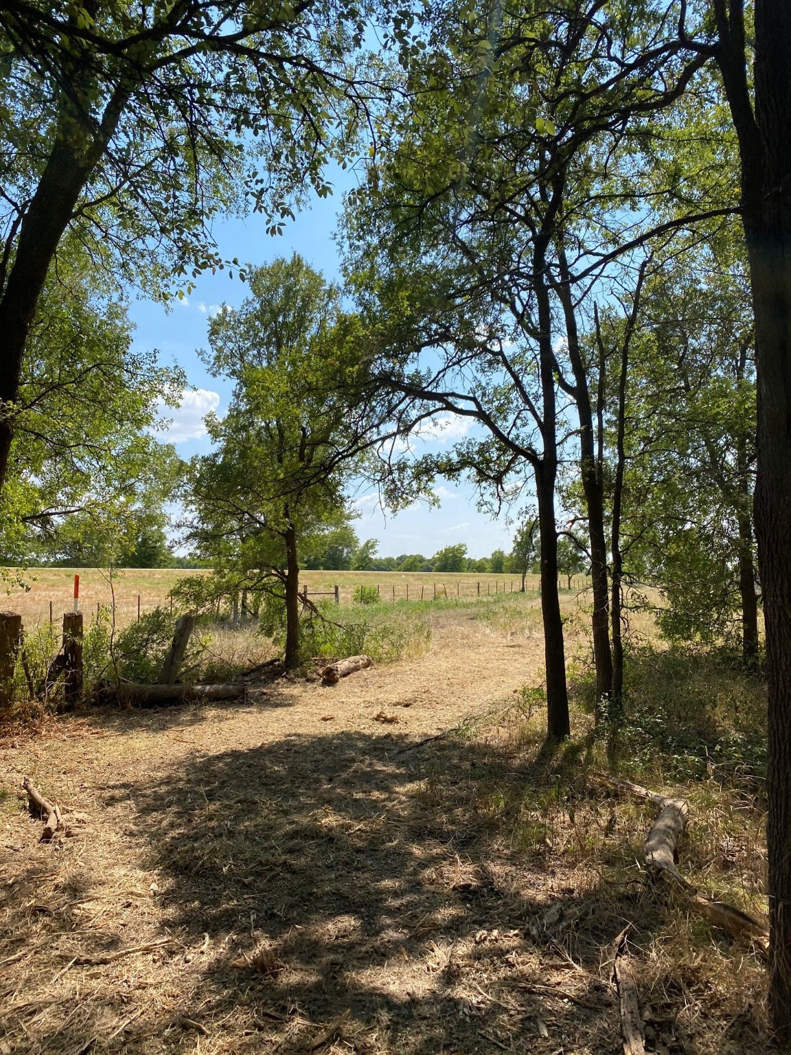 Tbd W Highway 84 Prairie Hill TX 76678