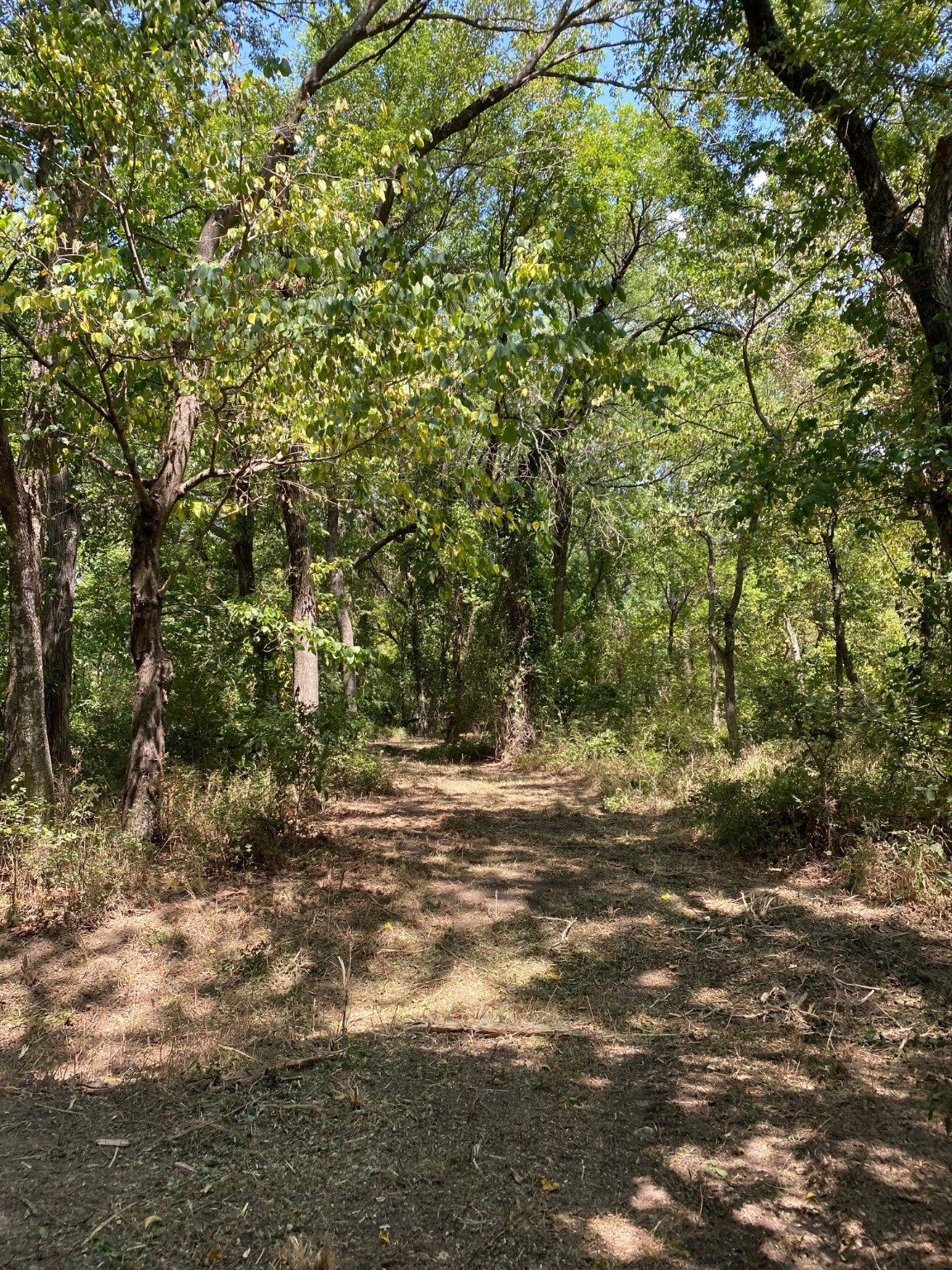 Tbd W Highway 84 Prairie Hill TX 76678