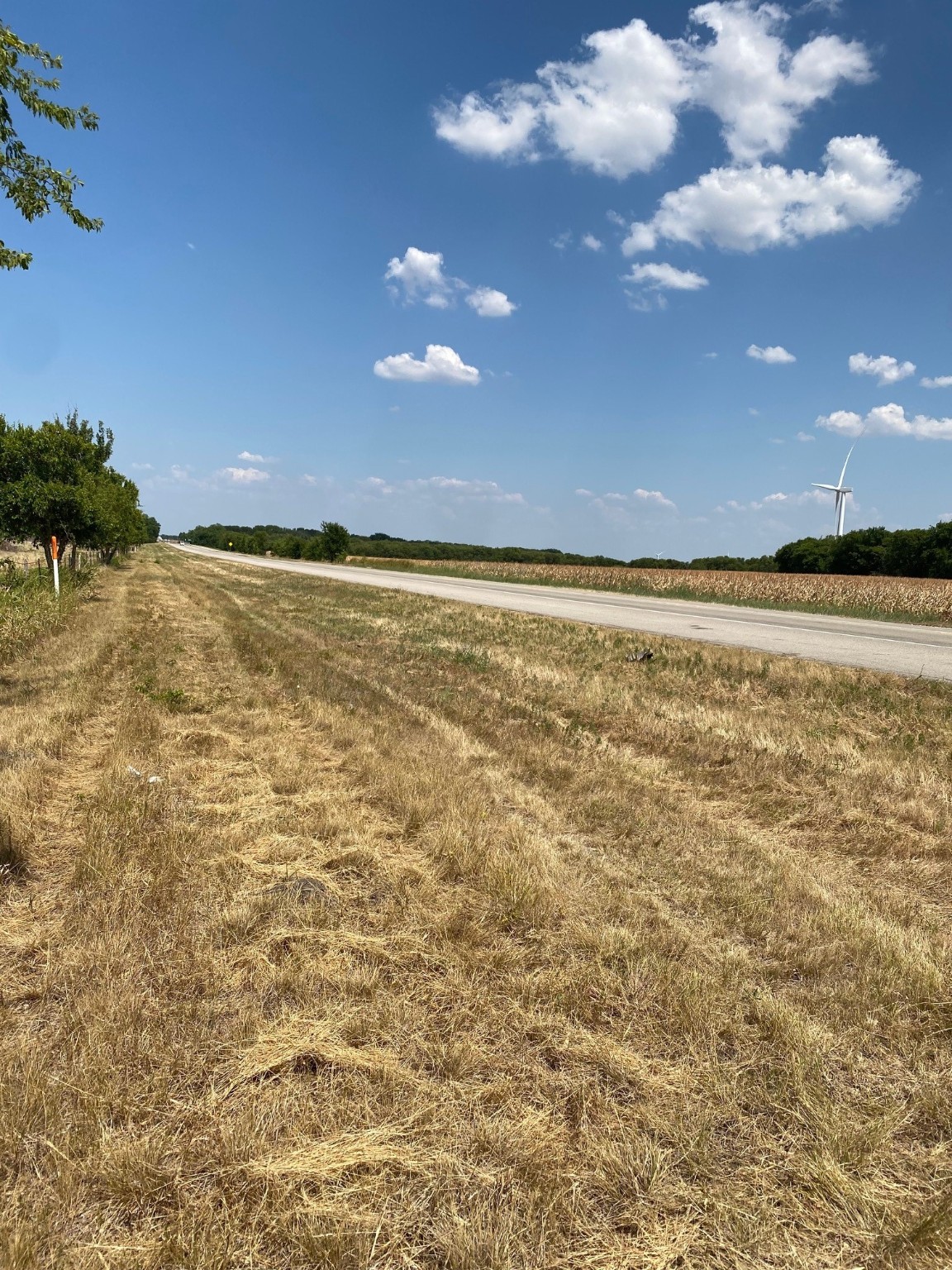 Tbd W Highway 84 Prairie Hill TX 76678