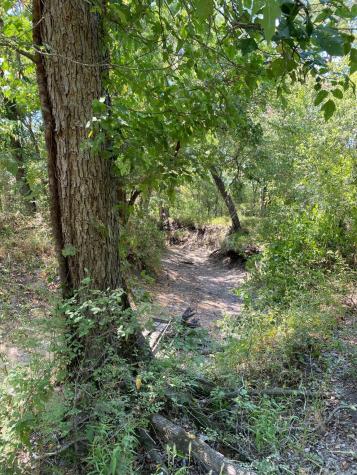 Tbd W Highway 84 Prairie Hill TX 76678